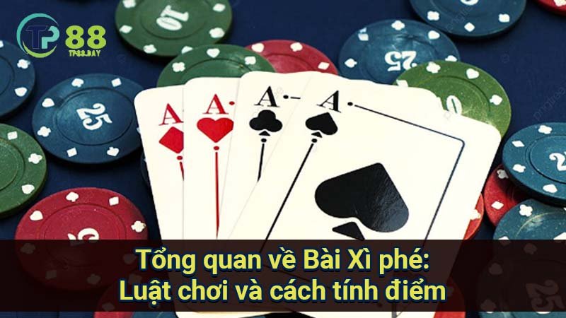 tong-quan-ve-bai-xi-phe:-luat-choi-va-cach-tinh-diem