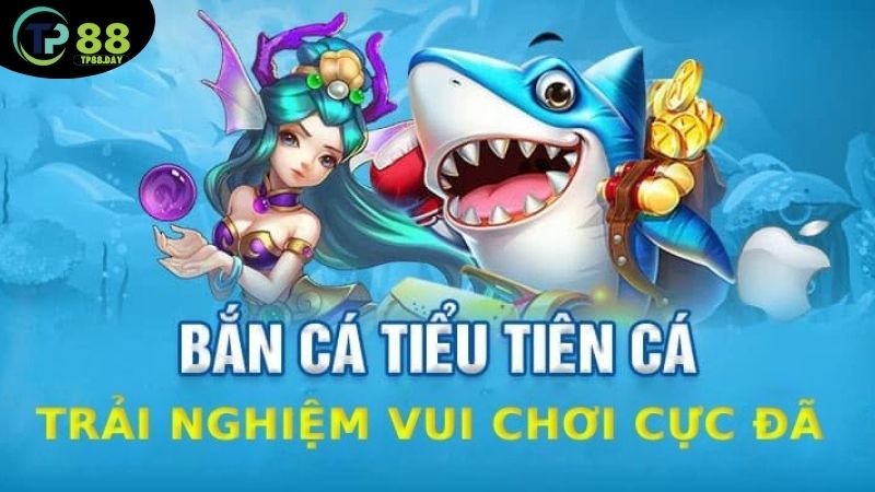 gameplay-va-co-che-hoat-dong-cua-game-ban-ca-tieu-tien-ca