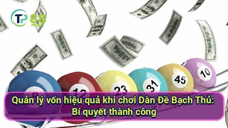 quan-ly-von-hieu-qua-khi-choi-dan-de-bach-thu:-bi-quyet-thanh-cong