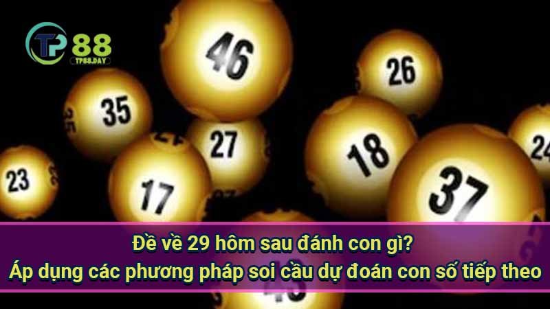 de-ve-29-hom-sau-danh-con-gi?-ap-dung-cac-phuong-phap-soi-cau-du-doan-con-so-tiep-theo