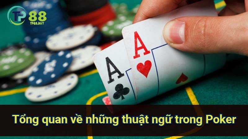 tong-quan-ve-nhung-thuat-ngu-trong-poker