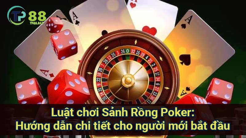 luat-choi-sanh-rong-poker:-huong-dan-chi-tiet-cho-nguoi-moi-bat-dau