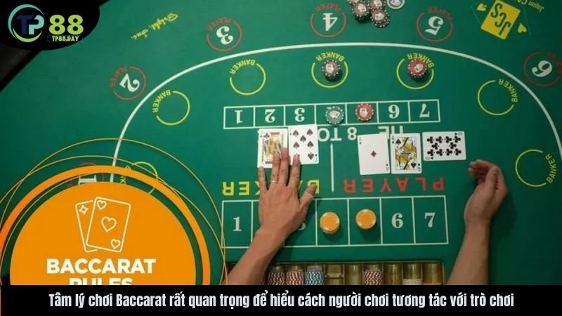 tam-ly-choi-baccarat